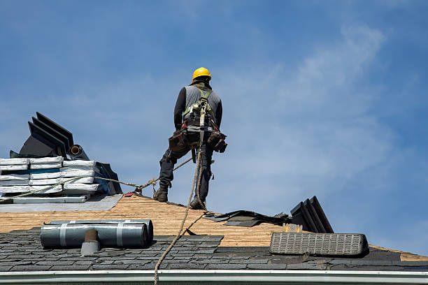 Professional Roof Replacement technician working in Goehner, NE